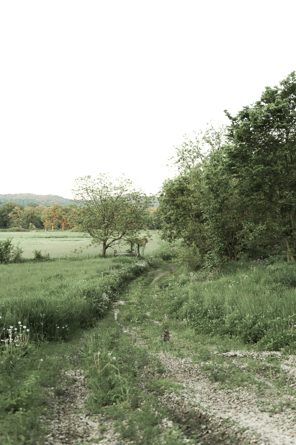 The Driftless Area, Wisconsin