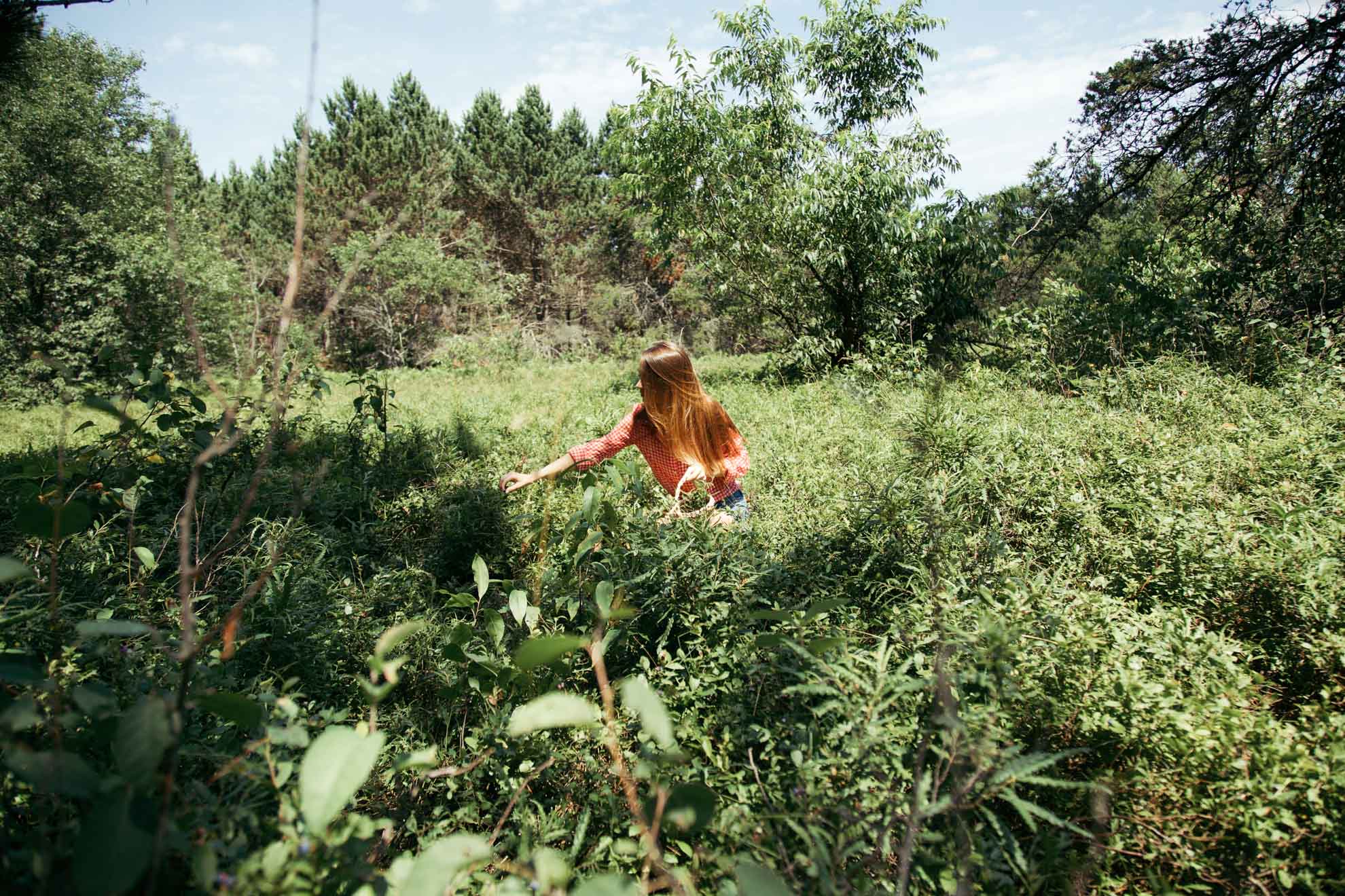 Blueberry Picking | Miss Northerner