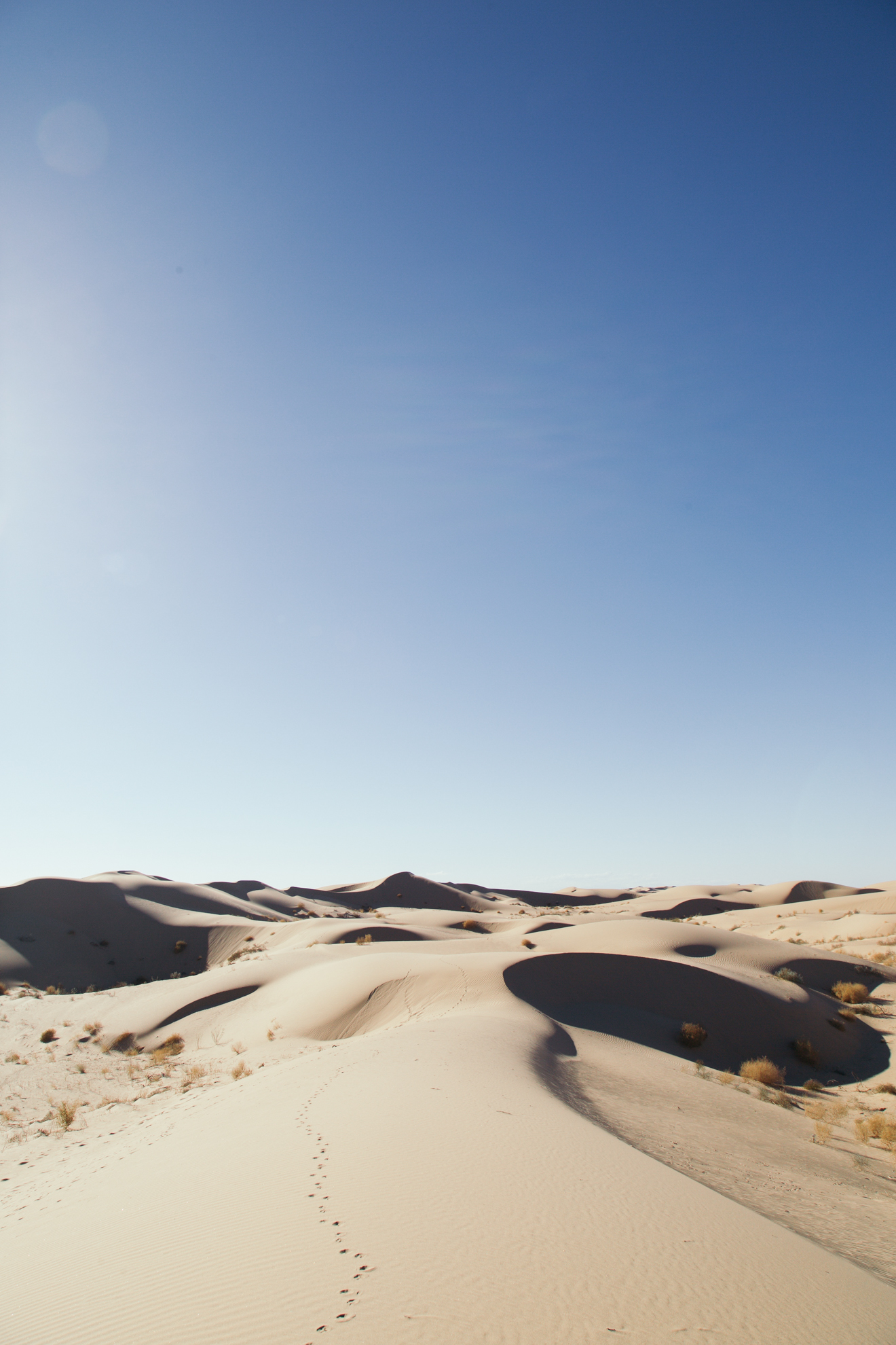 Visiting the Algodones Sand Dunes, California