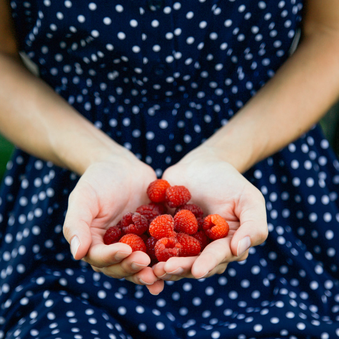 A Seasonal Berry Guide for Wisconsin