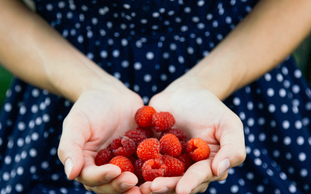 A Seasonal Berry Guide for Wisconsin