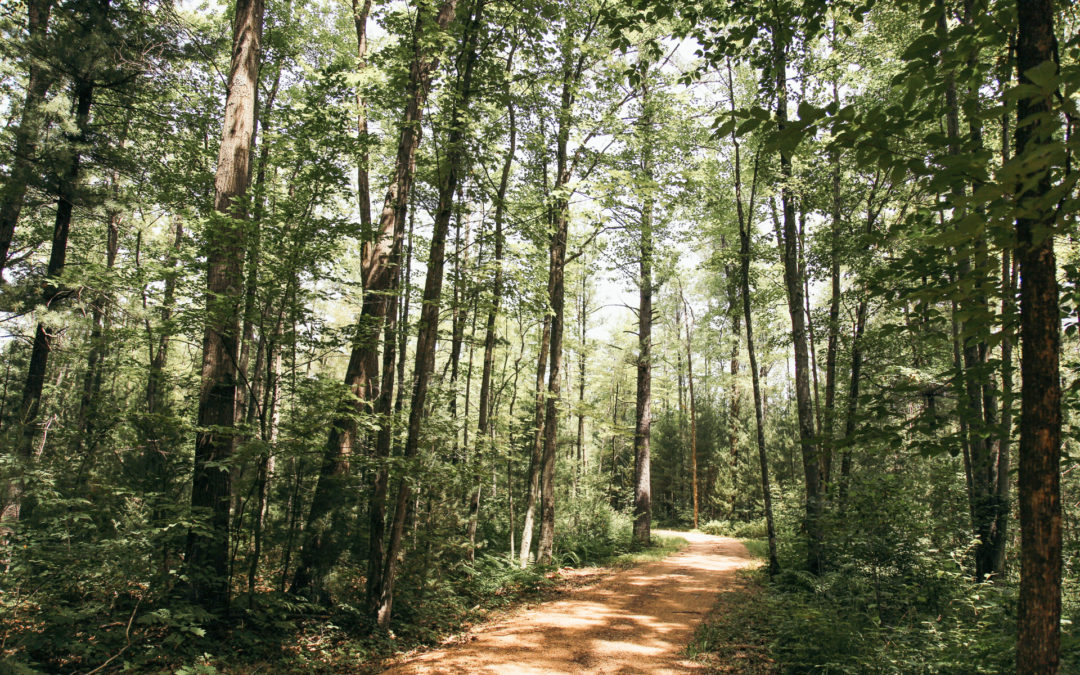 Biking the Green Circle Trail in Stevens Point Wisconsin