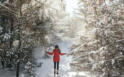 This Super Secret Natural Area Turns into a Winter Wonderland