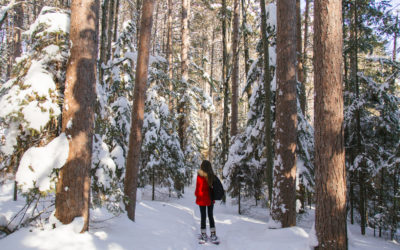 Snowshoeing Fallison Lake Trail