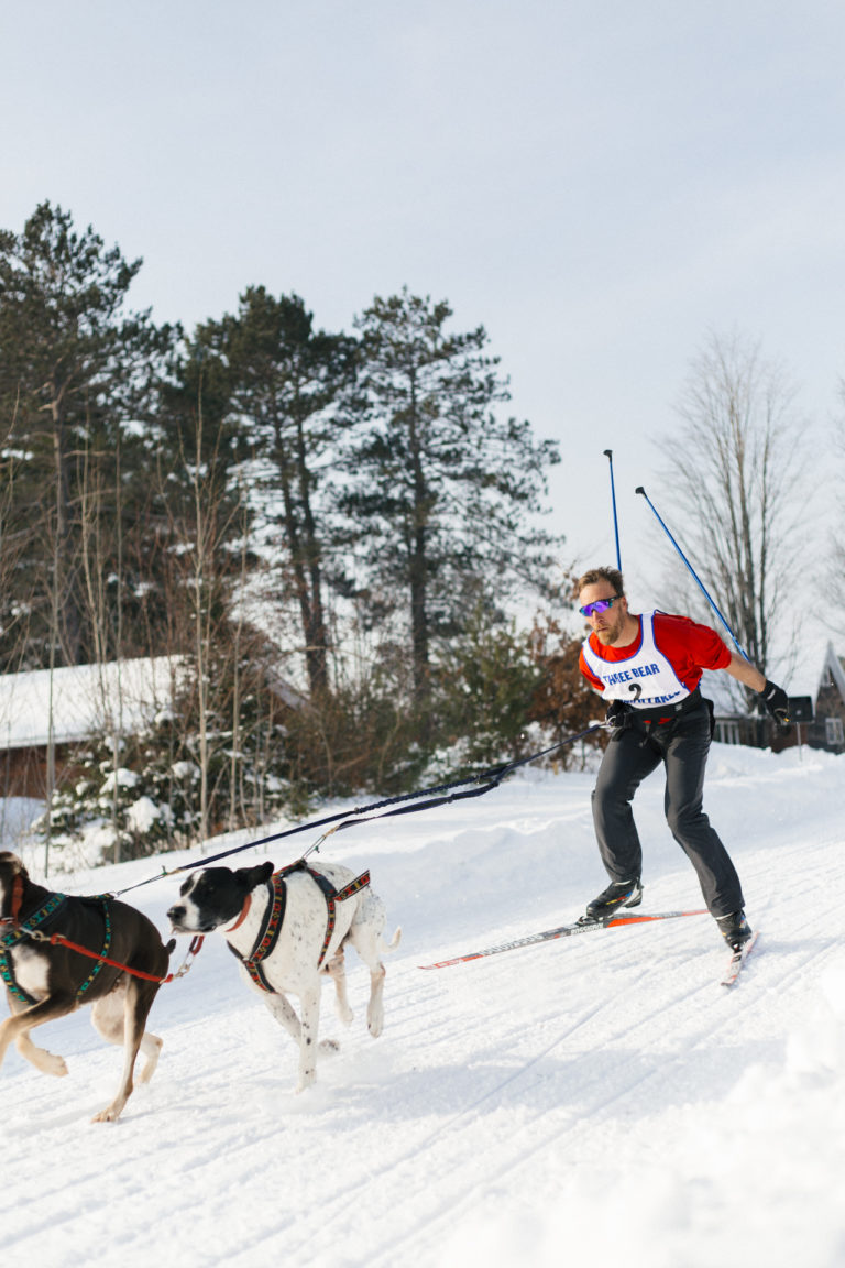 Three Bear Sled Dog Race in Land O' Lakes