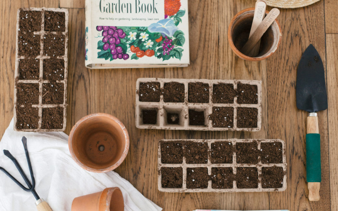Starting Seeds Indoors