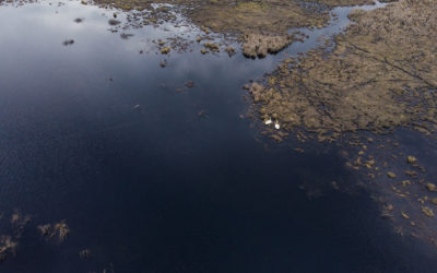 Finding Swans at Spring Creek State Wildlife Area