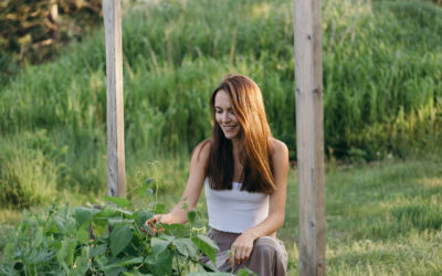 Vegetable Garden Update