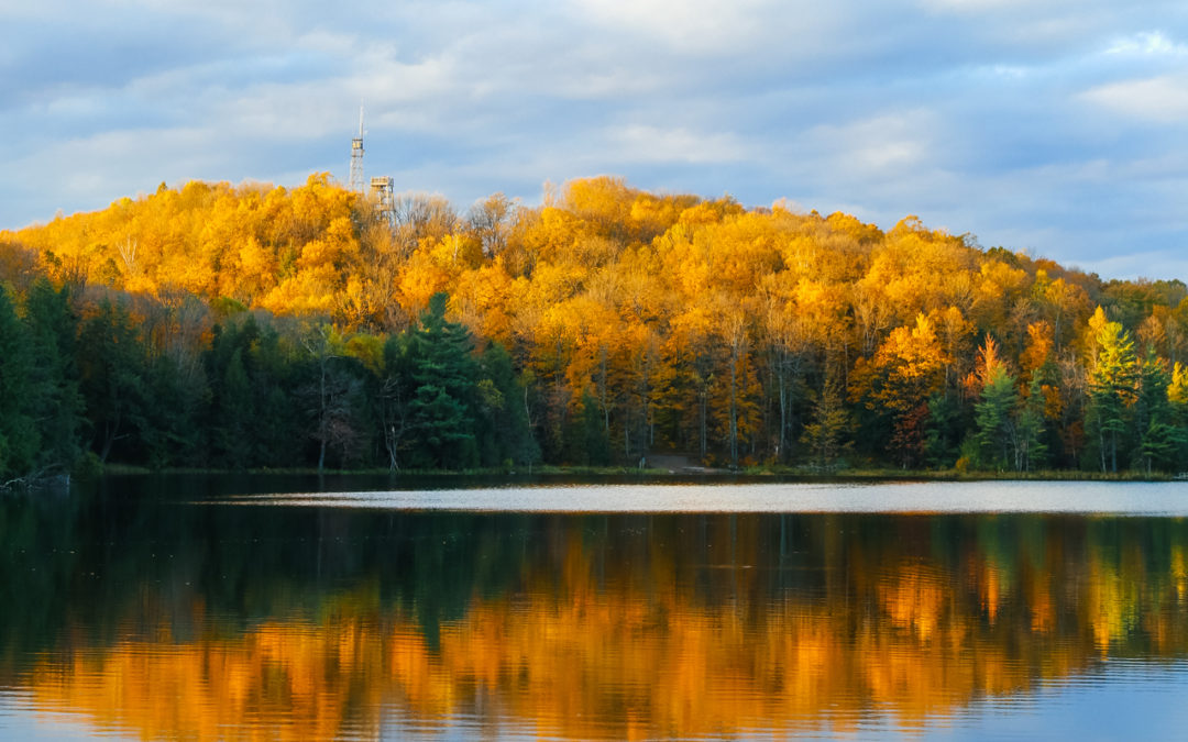 View Wisconsin’s Fall Colors at These Five Overlooks