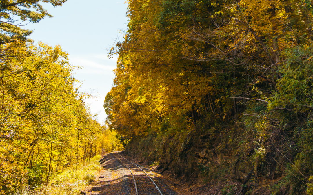 The Osceola Fall Color Train Ride