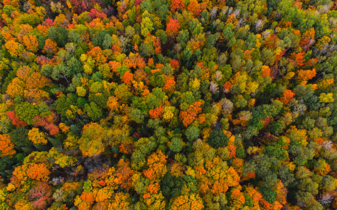 A Perfect Spot to Get on the Ice Age Trail This Fall