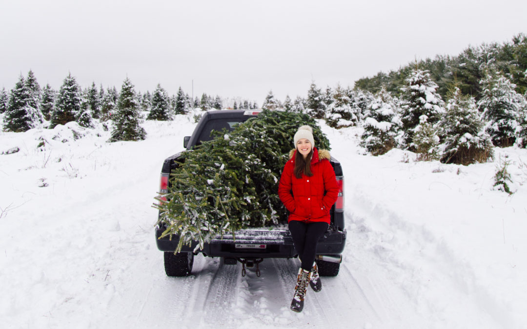 Choosing Our Christmas Tree