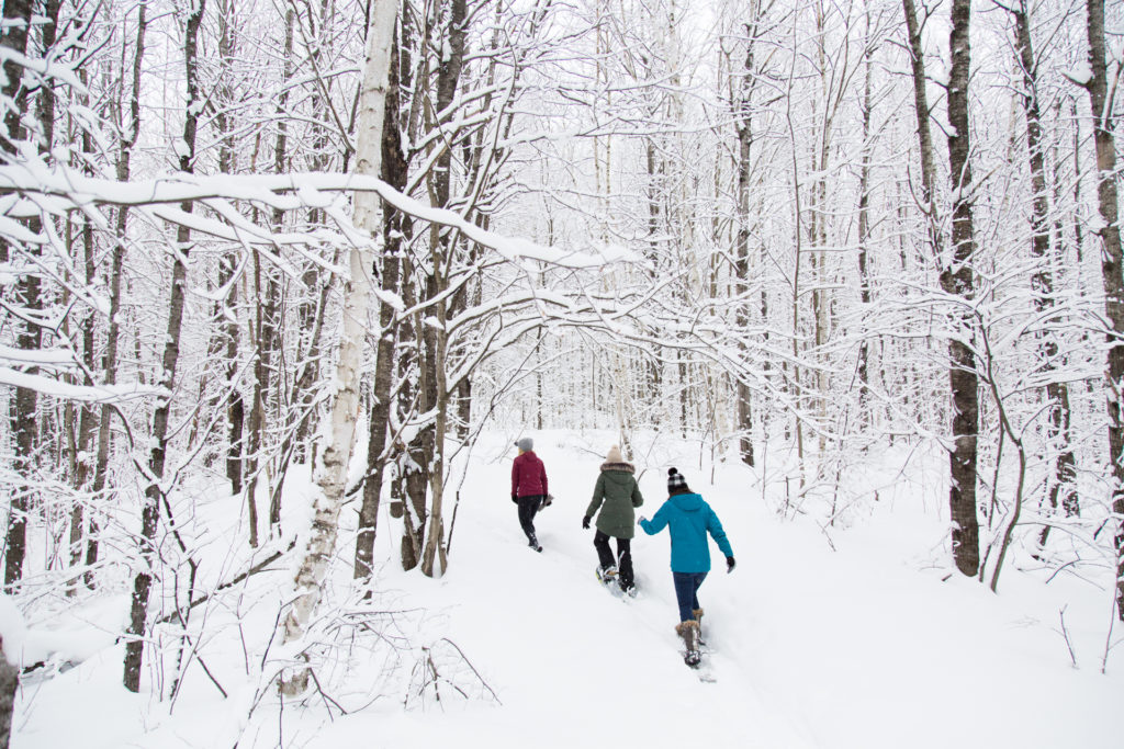 Washburn Trails, Rhinelander, WI