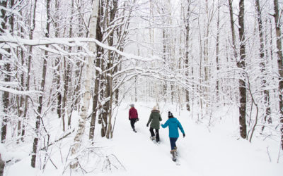 Washburn Trails, Rhinelander, WI