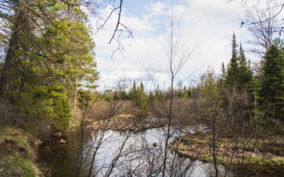 Woodboro Lakes Wildlife Area