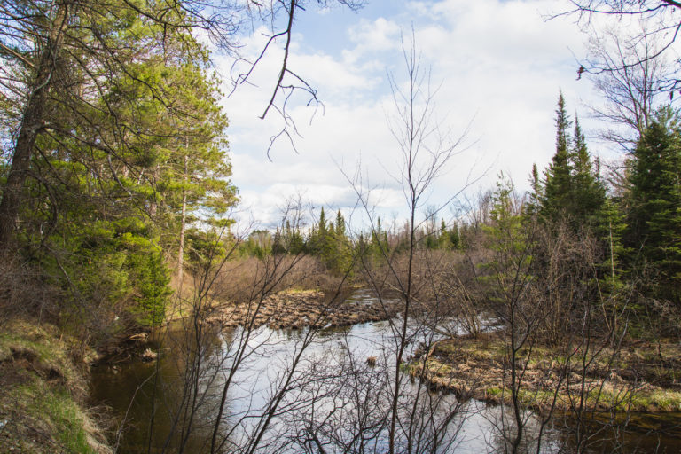 woodboro lakes wildlife area