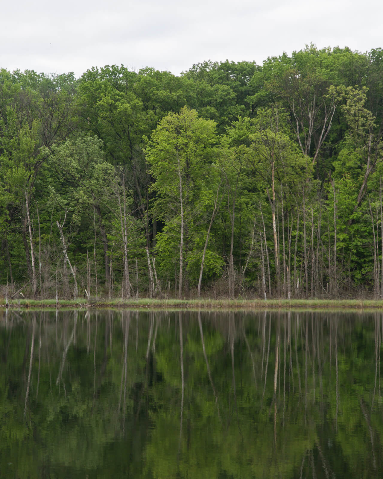 cabins on clark lake door county wisconsin