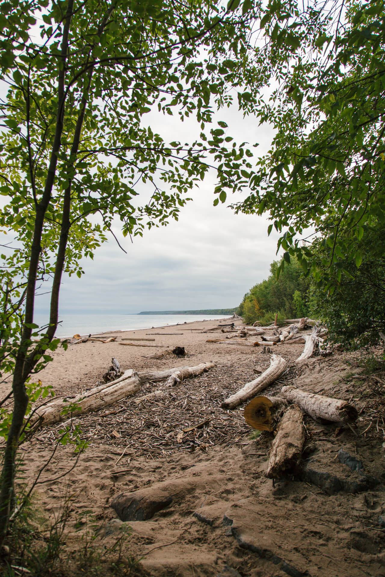 5W2A4619 cabins on clark lake door county wisconsin