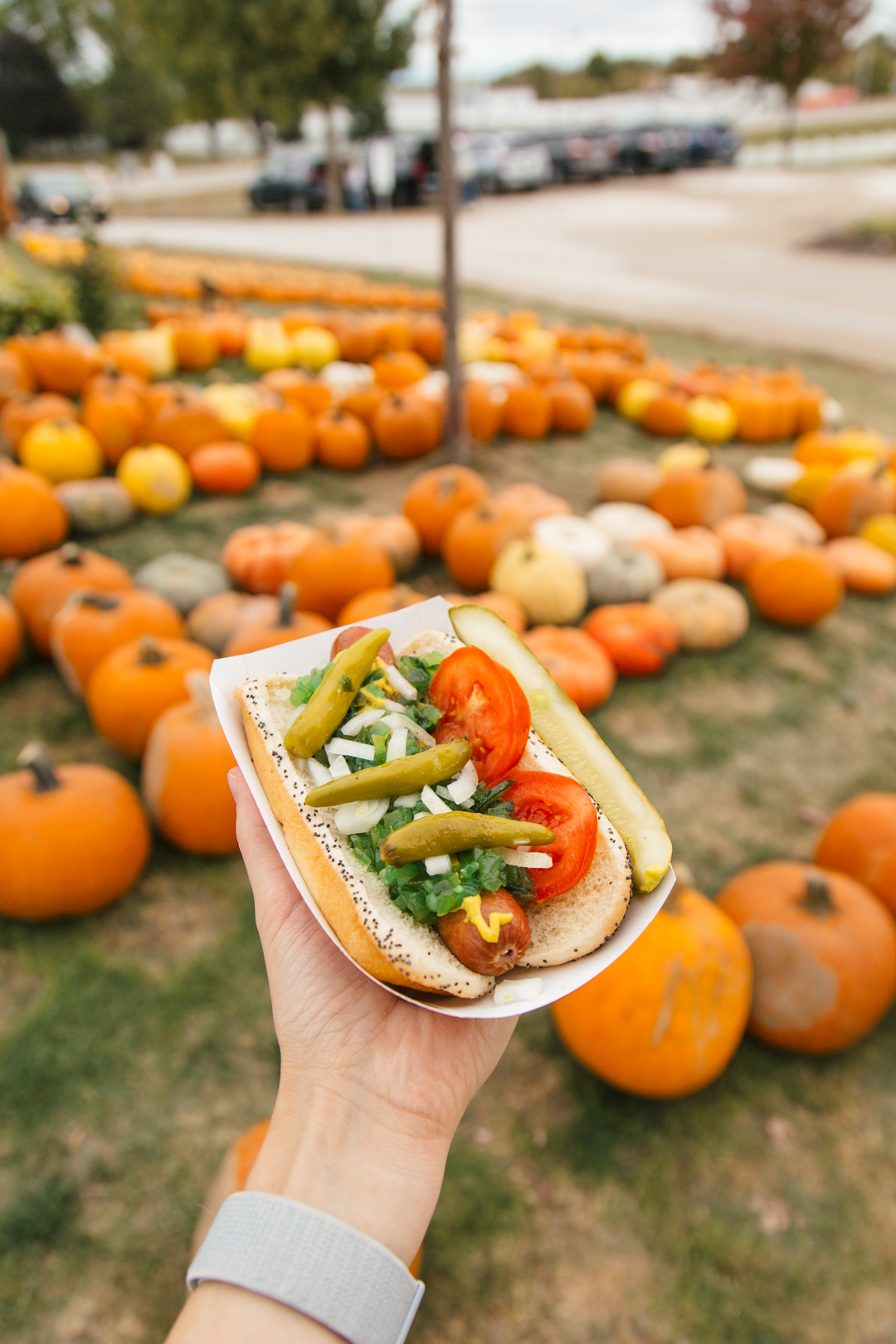 5W2A7272 laura ingalls wilder birthplace cabin little house in the big woods