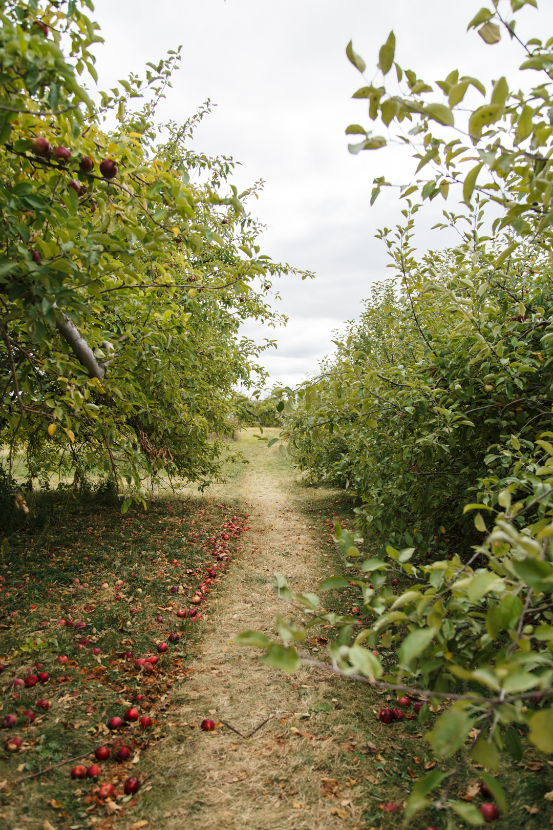 5W2A7278 the pickle factory pepin wisconsin