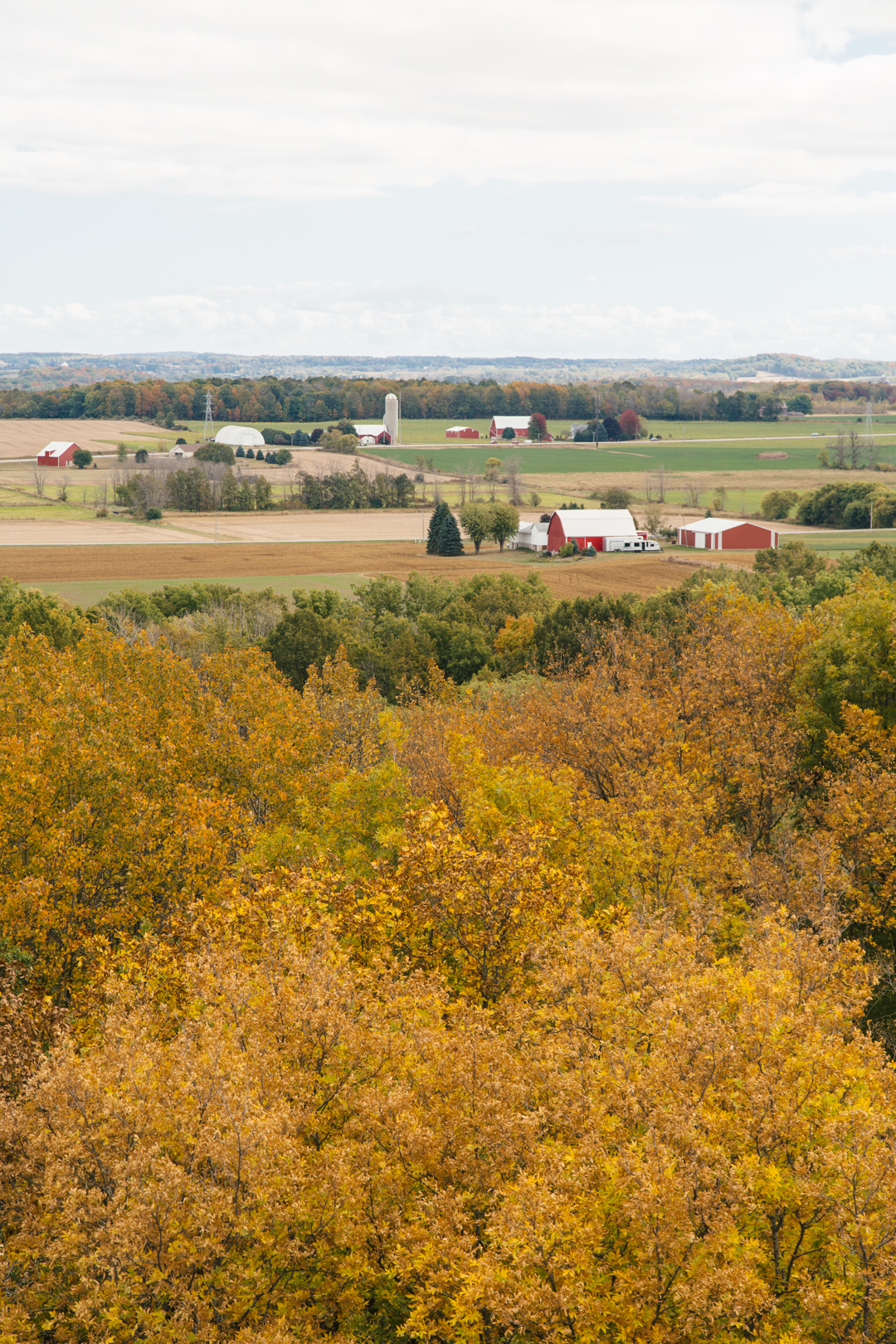 5W2A7321 cruise pepin