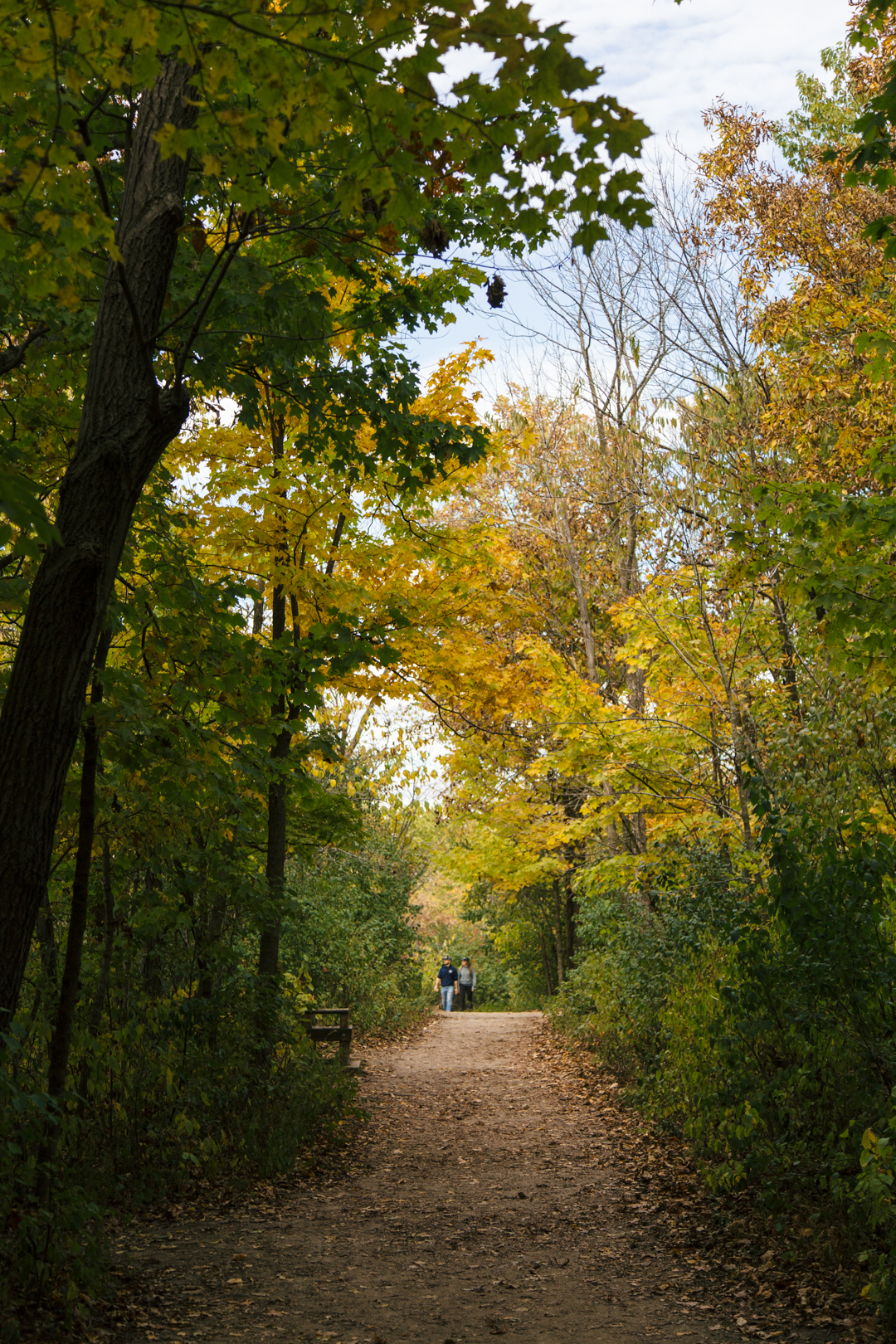 5W2A7343 blue spring missouri